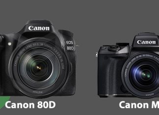 Canon 80D mi EOS M5 mi Almalıyım?