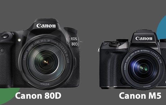 Canon 80D mi EOS M5 mi Almalıyım?