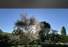 Casa Lavanda Boutique Hotel Yorumlarım 2024