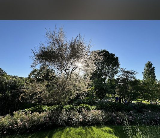 Casa Lavanda Boutique Hotel Yorumlarım 2024