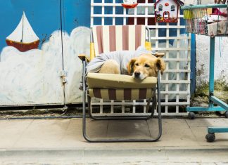 Ayvalık ve Cunda da Ne Yapılır ?