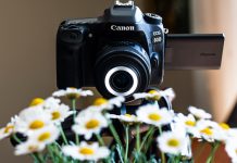 Canon EF-S 35mm f/2.8 Makro IS STM İncelemesi