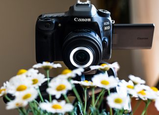 Canon EF-S 35mm f/2.8 Makro IS STM İncelemesi