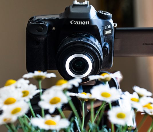 Canon EF-S 35mm f/2.8 Makro IS STM İncelemesi