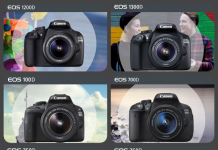 Giriş Seviyesinde Hangi Canon DSLR ?