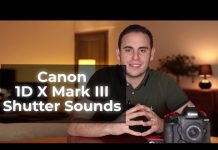 Canon 1DX Mark III Shutter Sounds Canon 1DX Mark III