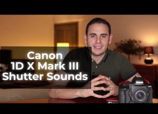 Canon 1DX Mark III Shutter Sounds Canon 1DX Mark III